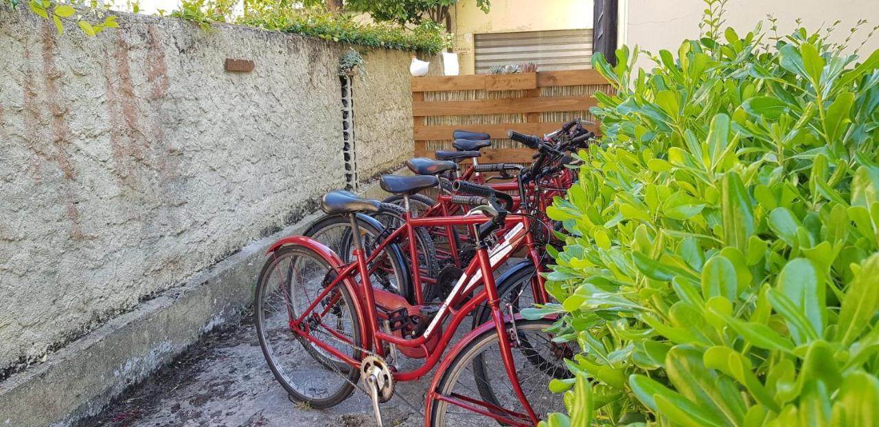 Villa Noemi Bed&Breakfast ピサ エクステリア 写真