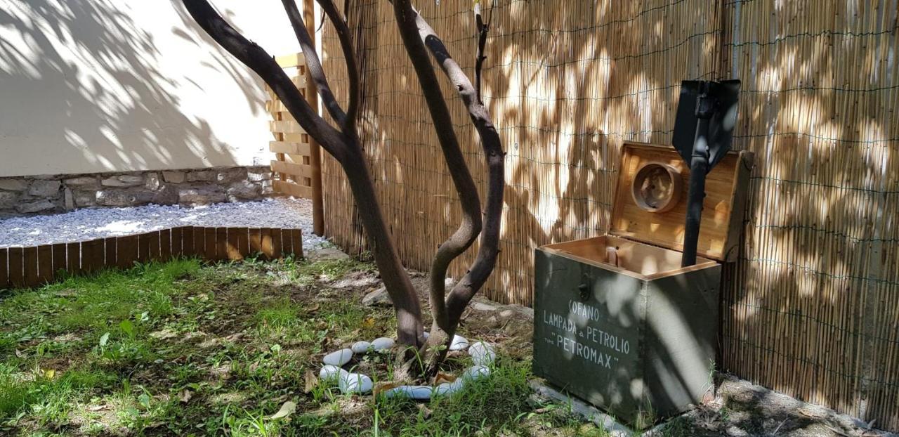 Villa Noemi Bed&Breakfast ピサ エクステリア 写真